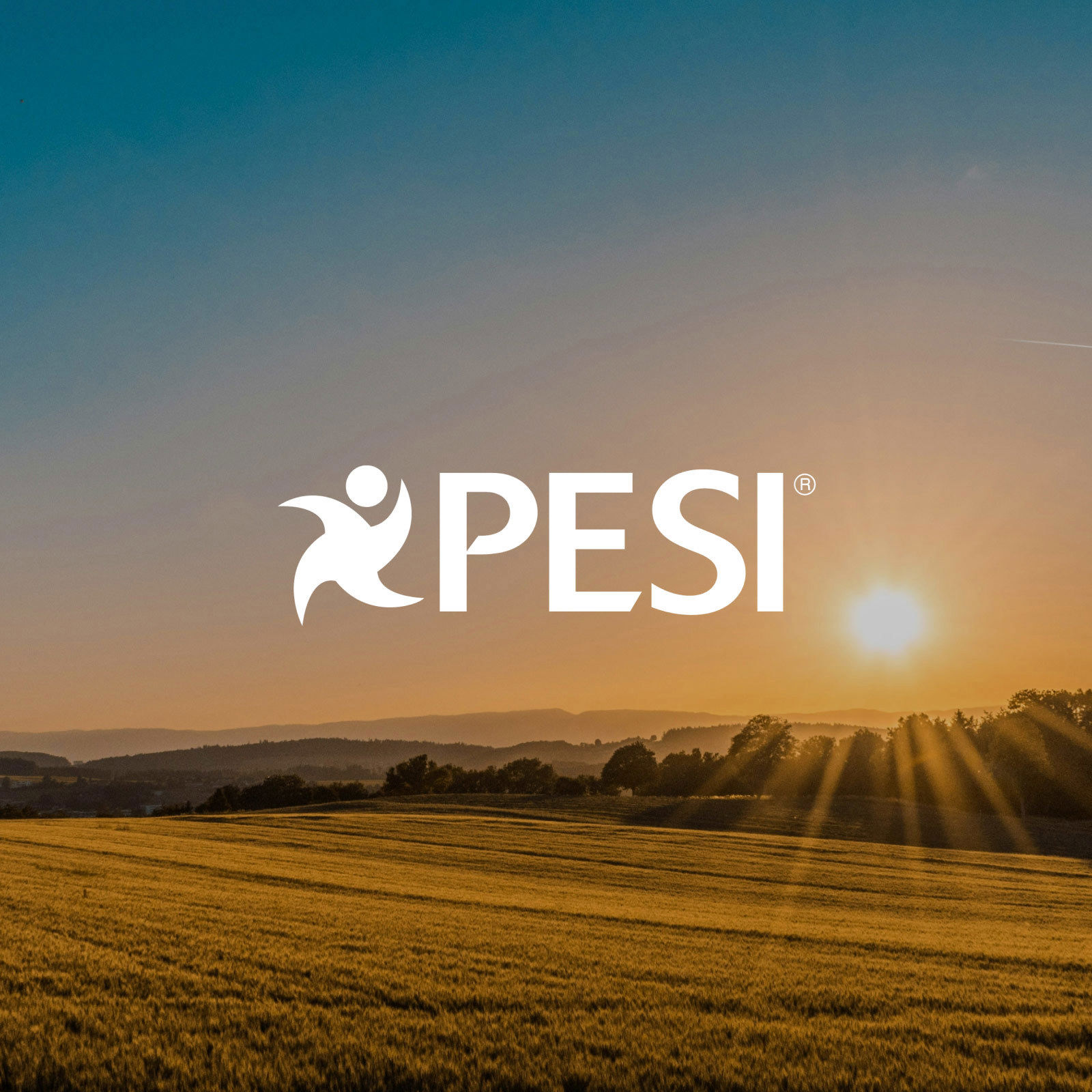 PESI Project Feature 1 1 Marathon Consulting
